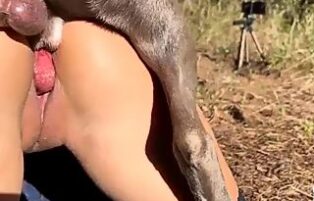 Zoofilia para Maiores de 18