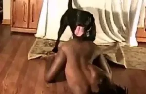 Zoofilia Telegram com Cães