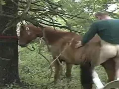 Homens Zoofilia