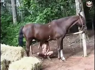 Brazil Zoofilia